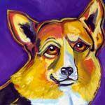 Corgi